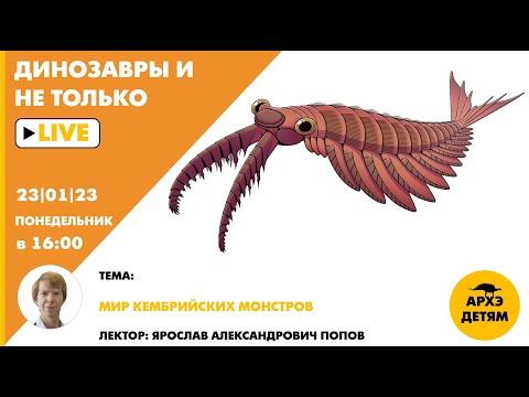 Занятие "Мир кембрийских монстров" кружка "Динозавры и не только" с Ярославом Поповым