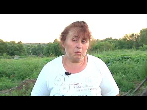 ДЕТСКИЙ ИНТЕРЕС. Касается каждого, эфир от 19.08.2016