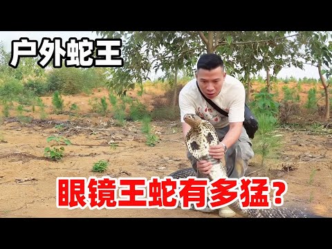 蛇界名场面！眼王遇蛇王直接慌了，没听完课就溜之大吉