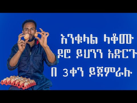እንቁላል መጣል ካቆሙ ይህን አድርጉ በ3ቀን ይጀምራሉ 
