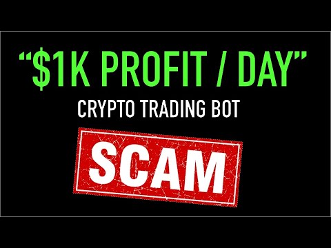 Developer Destroys Flashloan Bot Scam