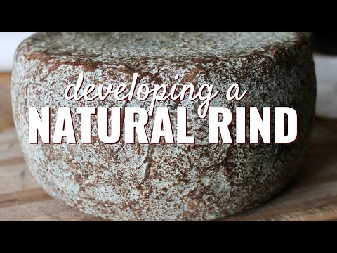 Is This Cheese Rotten? Developing and Troubleshooting a Natural Rind Cheese