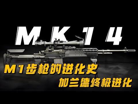M14步枪终极改装，M1加兰德步枪的最终进化MK14#M14#MK14#军事科普#军迷发烧友