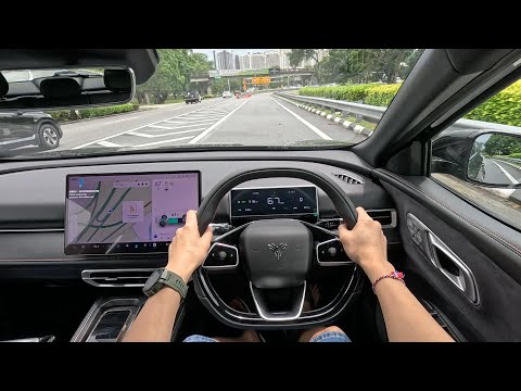 2024 Neta X 500 Luxury | Day Time POV Test Drive