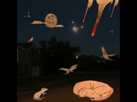 Gunnar, Can I Grow? - Taxidermy