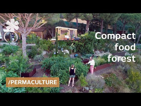 Clever microhome perches over compact food forest outside Barcelona