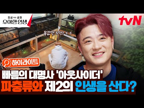 거북이 생일파티부터 5억 투자까지..? 파충류에 진심인 아웃사이더 근황👍 #highlight #진실혹은설정우아한인생 EP.6