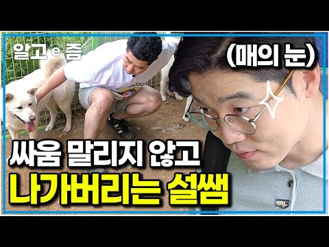 설쌤 앞에서 폭주한 진돗개들. 그런데 싸움을 말리지 않고 그냥 나간다?｜세상에 나쁜 개는 없다｜알고e즘
