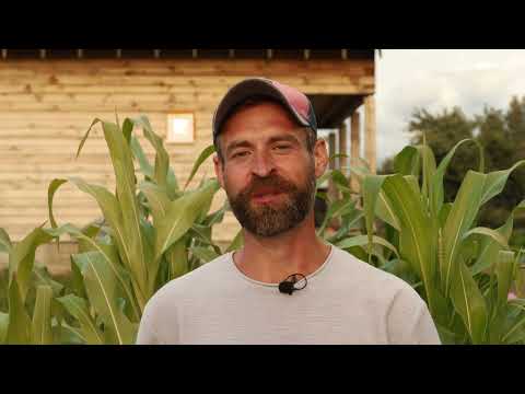 Three Laws of Soil Fertility