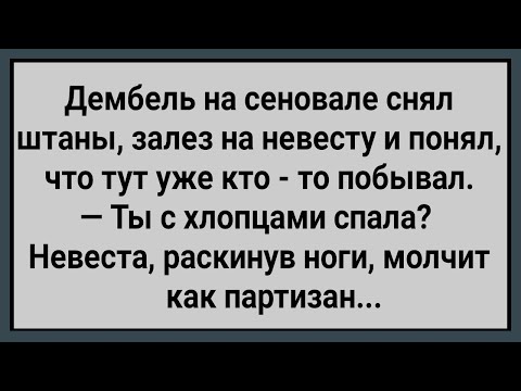 Как Дембель На Сеновале Невесту Портил! Сборник Свежих Анекдотов! Юмор!