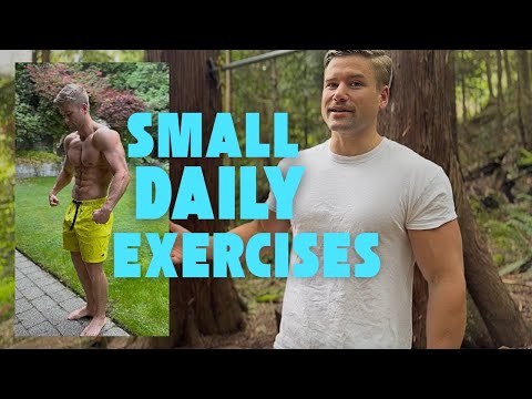 What are fitness dailies?