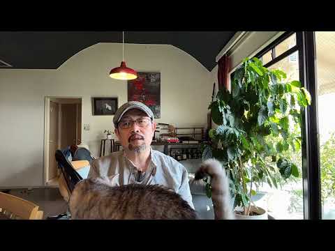 圣上又去了雄安：对于“三不朽”的执念；发改委调油价的话术：“爹味管理”的典范｜习近平｜李强｜霍尔木兹海峡｜日本油价｜战略储备｜