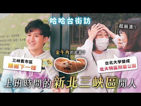 《哈哈台地區的街訪》EP54 - 上班時間的「三峽區」閒人。北大變成特區公園？金牛角的歷史？天龍國與鄉下並存的區？🎤｜哈哈台