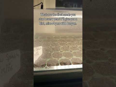 What do you start first each year?