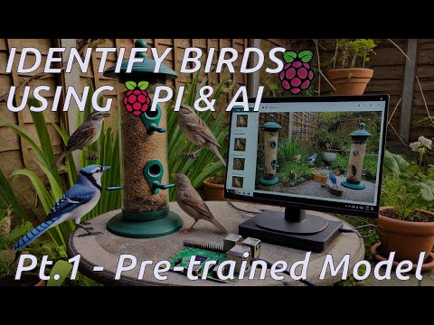 Use AI on a RASPBERRY PI to IDENTIFY BIRDS (Part 1)