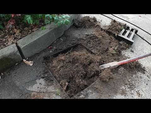 Kempinger 228. Soll nur Ablaufen. ( 2 ). Unnormal und abartig, massiv verwurzelter Regen -Gully. 🥴