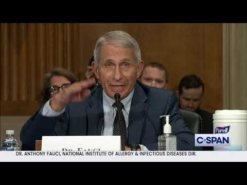 Dr. Anthony Fauci: "Senator Paul, you do not know what you are talking about..."