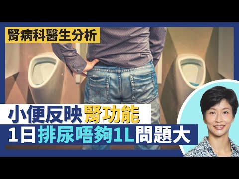 腎病與小便｜小便反映腎功能 顏色、氣味、份量顯示身體狀況！蛋白尿成因及影響 小便有泡可大可小！1日排量不足1公升心臟負荷大隨時肺積水？｜王建芳醫生 腎病科醫生葉逸軒醫生｜人類健康研究所