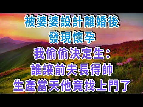 被婆婆設計離婚後，發現懷孕，我偷偷決定生：誰讓前夫長得帥！生產當天他竟找上門了！#雅婷講故事#為人處世#生活經驗#情感故事#晚年哲理#說故事#完結文#出軌
