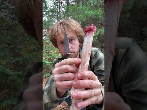 How to get sinew from deer legs #survival #deerseason #braintan #traditional