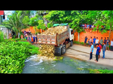 Incredible Full Project Landfill Clear water ! Truck Delivery Soil with Skill Bulldozer Push Soil