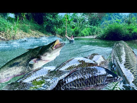 Traditional Fishing Skills - Single Mother Catches Giant Fish with Bamboo Stick