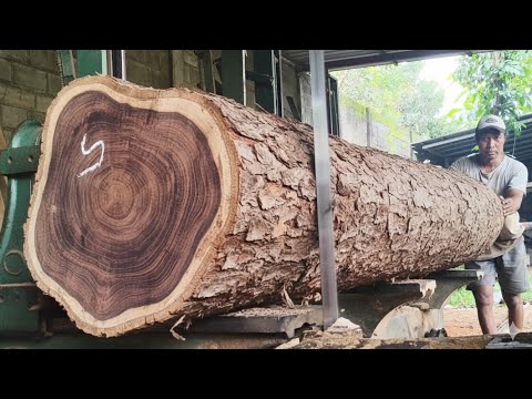 TERRIBLE, The saw blade almost broke // because the wood was very hard and big.