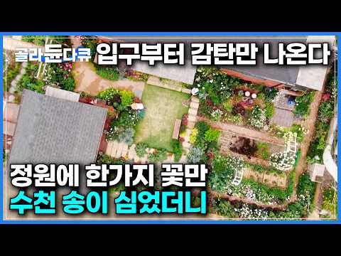 이런 집에 살면 무슨 기분일까? 아름다운 정원에 홀린 듯 들어왔다｜정원사 부부가 약도 안 치고 정성으로 가꾼 장미 정원｜화장실을 집 가운데에 넣은 이유｜건축탐구 집｜#골라듄다큐