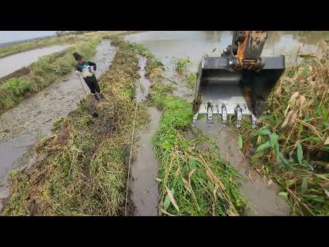 🌾🚧 AVIÃO E ESCAVADEIRA TRABALHANDO JUNTOS! LIMPEZA DE VALETA E PLANTIO DE ARROZ!