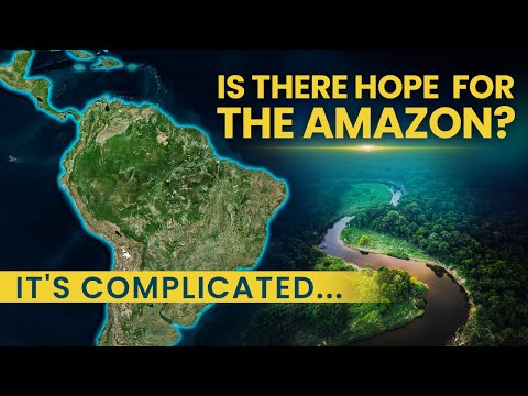 Is there hope for the Amazon?