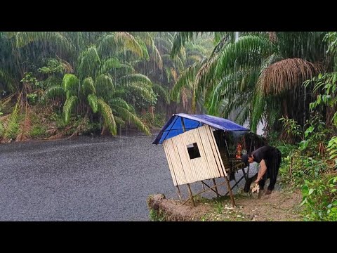 Diguyur hujan deras || Solo camping hujan deras di tepi sungai
