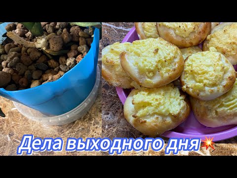 Всем привет 👋/ Не могу без вас никак 😊/Переехали на зимовку в город💥💥💥