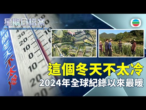 TVB 星期日檔案｜這個冬天不太冷：2024年全球紀錄以來最暖｜無綫新聞 TVB News