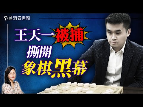 象棋界水太深！中國象棋第一人王天一被捕牽出象棋界黑幕！｜薇羽看世間 20240829