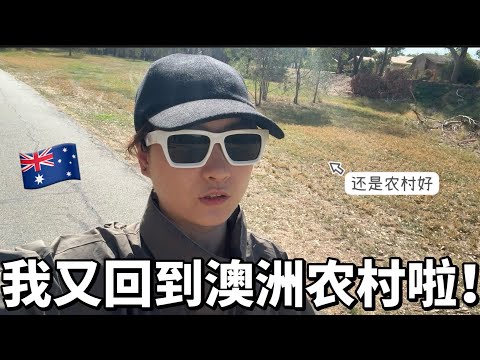 我又回到澳洲农村啦🎊｜为什么我选择逃离墨尔本？