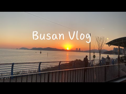 Busan Vlog (Поезд 🚂, закат 🌅,  книжная улица📚, кино 🍿 )