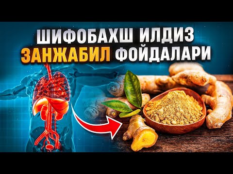 Шифобахш илдиз - занжабил фойдалари | Доктор Гулбаҳор