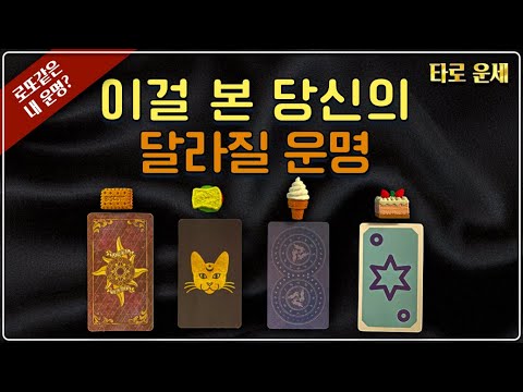 타로 운세 - 이걸 본 당신의 달라질 운명