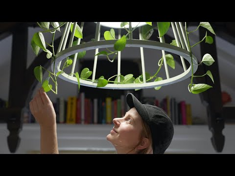 Making a plant chandelier AKA a plamp