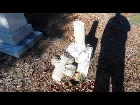 Cemetery Vandalism?