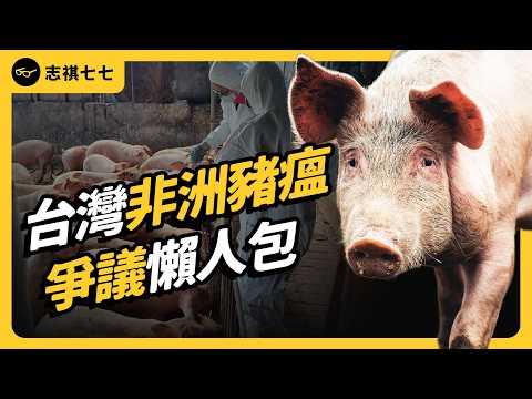 台灣出現非洲豬瘟！採樣、疫調、送驗都有問題嗎？未來影響有多嚴重？｜志祺七七
