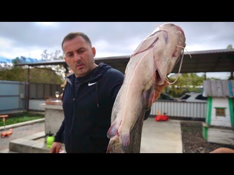 CATFISH in a TANDOOR. Grilled catfish. ENG SUB