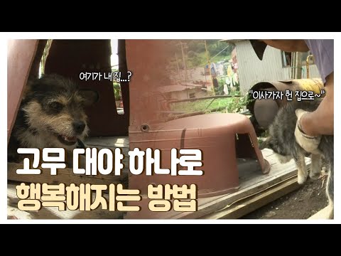 [풀버전] #레전드다큐 집 없다고 고무대야 박살내서 애들 집 만들어준 울릉도 선장님 🐶🐱 ㅣ인어할머니와 선장ㅣ KBS 인간극장 2011 방송