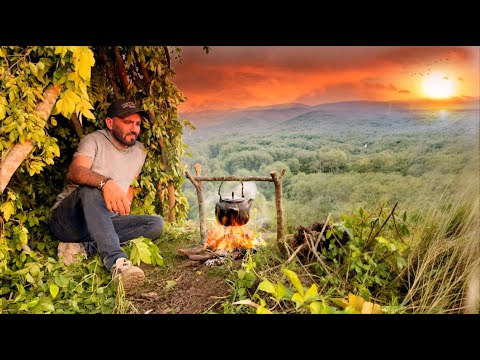 Building a Shelter with a Branch on Top of a Cliff٫Solo Camp,Survival shelter