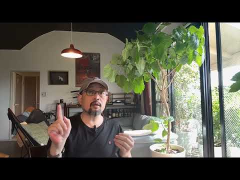 “懂车帝”为什么牛逼到硬刚“遥遥领先”、灭了全部国产智驾，背后的真相是什么｜华为｜比亚迪｜特斯拉｜交通部｜科技部｜红杉资本｜字节跳动｜