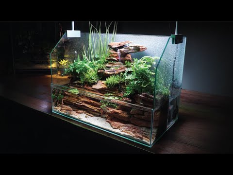 Making Waterfall Terrarium! If you have rocks, you can make it like a valley flowing with water!