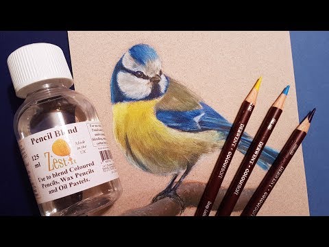 How to Blend Coloured Pencil with Liquid Solvents | Coloursoft Review Update