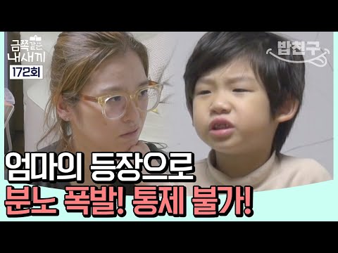 [#밥친구] 엄마에게 막말 폭격! 금쪽이는 왜 엄마 앞에서만 화가 날까?  | 금쪽같은 내새끼 172 회