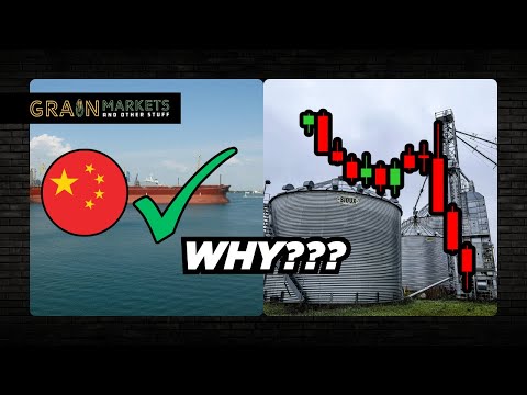 China has Hit Half the Soybean Target...So Why Are Prices Falling?