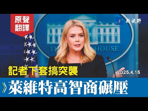 智商決定一切！NBC記者試圖下套搞突襲，結果被萊維特徹底碾壓。#白宮簡報會 #白宮新聞秘書 #萊維特 | 新視野 20250416